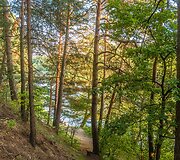 Didžiausiame Bukčių mi&scaron;ko parke Vilniuje pasivaik&scaron;čioti kviečia trys nauji mar&scaron;rutai