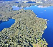 Parduodama 10ha sodybvietė su 444m. Samavo ežero pakrante Gražutės regioniniame parke, Pameldynės k., Zarasų raj.