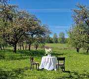 Vilnių i&scaron;keitė į mi&scaron;ką ir atidarė restoraną: Ieva vai&scaron;ina patiekalais, kurių meniu diktuoja pati gamta