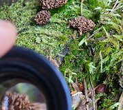 Vilnių i&scaron;keitė į mi&scaron;ką ir atidarė restoraną: Ieva vai&scaron;ina patiekalais, kurių meniu diktuoja pati gamta