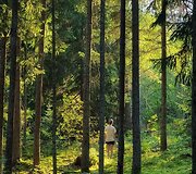 Vilnių i&scaron;keitė į mi&scaron;ką ir atidarė restoraną: Ieva vai&scaron;ina patiekalais, kurių meniu diktuoja pati gamta