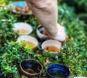 Vilnių i&scaron;keitė į mi&scaron;ką ir atidarė restoraną: Ieva vai&scaron;ina patiekalais, kurių meniu diktuoja pati gamta