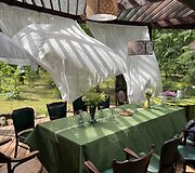 Vilnių i&scaron;keitė į mi&scaron;ką ir atidarė restoraną: Ieva vai&scaron;ina patiekalais, kurių meniu diktuoja pati gamta