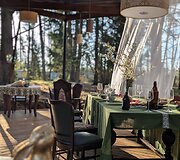 Vilnių i&scaron;keitė į mi&scaron;ką ir atidarė restoraną: Ieva vai&scaron;ina patiekalais, kurių meniu diktuoja pati gamta
