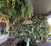 Lazdijietis Justinas Druskininkuose atidarė restoraną &bdquo;No onion&ldquo;