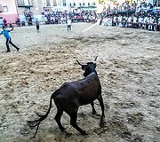 Akimirkos i&scaron; Monikos Svėrytės žygio &Scaron;v. Jokūbo keliu
