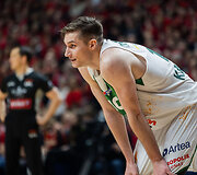 Ąžuolas Tubelis