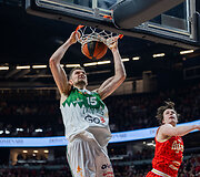 Laurynas Birutis