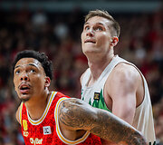 Jacob Wiley, Ąžuolas Tubelis