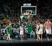 Kauno &bdquo;Žalgiris&ldquo; &ndash; Belgrado &bdquo;Crvena zvezda&ldquo;