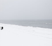 Apledėjusi Palanga