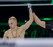 Vitas Karosas