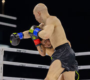 Modestas Žmuidina, Artūras Brižinskas