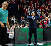 Oren Amiel