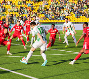 Vilniaus &bdquo;Žalgiris&ldquo; &ndash;  &bdquo;Panevėžys&ldquo;