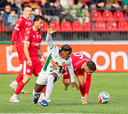 Vilniaus &bdquo;Žalgiris&ldquo; &ndash;  &bdquo;Panevėžys&ldquo;