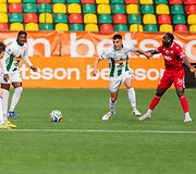 Vilniaus &bdquo;Žalgiris&ldquo; &ndash;  &bdquo;Panevėžys&ldquo;