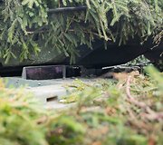 Pirmųjų Lietuvos kariuomenės tankų įgulų vykdomas kovinis &scaron;audymas i&scaron; tankų &bdquo;Leopard 2A6&ldquo;