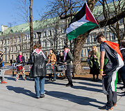 Palestinos palaikymo akcija