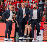 Tomas Rinkevičius, Vidas Ginevičius, Lukas Aleksandravičius