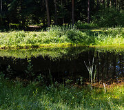 Baltų mitologijos parkas