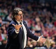 Andrea Trinchieri
