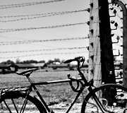Au&scaron;vicas-Birkenau