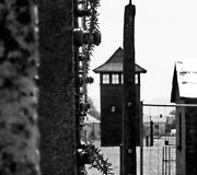 Au&scaron;vicas-Birkenau