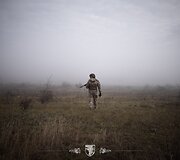 Ukrainos karys