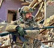 Ukrainos karys