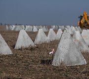 Naujosios Ukrainos gynybos linijos