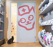 PetCity katė
