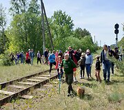 Festivalio dalyviai