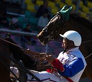&bdquo;Derby&ldquo; ir &bdquo;Kriterium&ldquo; finale 8 ristūnai žirgai pagerino savo rezultatus