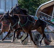 &bdquo;Derby&ldquo; ir &bdquo;Kriterium&ldquo; finale 8 ristūnai žirgai pagerino savo rezultatus