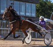 &bdquo;Derby&ldquo; ir &bdquo;Kriterium&ldquo; finale 8 ristūnai žirgai pagerino savo rezultatus