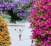 Ten galima prarasti amą, juoktis iki a&scaron;arų ir paskęsti gėlių jūrose: prasidėjo ry&scaron;kiausias vasaros festivalis Lietuvoje