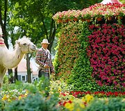 Ten galima prarasti amą, juoktis iki a&scaron;arų ir paskęsti gėlių jūrose: prasidėjo ry&scaron;kiausias vasaros festivalis Lietuvoje