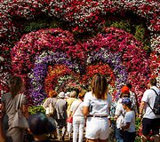 Ten galima prarasti amą, juoktis iki a&scaron;arų ir paskęsti gėlių jūrose: prasidėjo ry&scaron;kiausias vasaros festivalis Lietuvoje