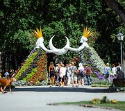 Ten galima prarasti amą, juoktis iki a&scaron;arų ir paskęsti gėlių jūrose: prasidėjo ry&scaron;kiausias vasaros festivalis Lietuvoje
