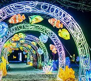 Svarbu žinoti planuojantiems aplankyti &scaron;viesų festivalius: reklamose to nepamatysite