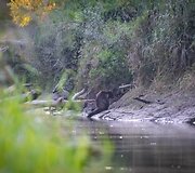 Velky-Lel laukinės gamtos stovykla