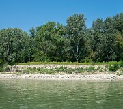 Velky-Lel laukinės gamtos stovykla