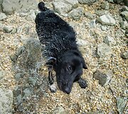 Velky-Lel laukinės gamtos stovykla