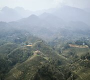 Vietnamas
