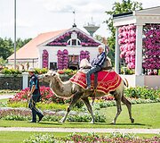 Pakruojo dvaras