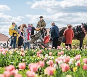 5 milijonai žiedų ir didieji Renesanso atradimai: Pakruojo dvaras žada įspūdingą pavasario atgimimą