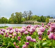 5 milijonai žiedų ir didieji Renesanso atradimai: Pakruojo dvaras žada įspūdingą pavasario atgimimą