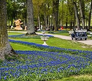 5 milijonai žiedų ir didieji Renesanso atradimai: Pakruojo dvaras žada įspūdingą pavasario atgimimą