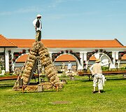 Pakruojo dvare jau atidarytas utopinio grožio Vasaros gėlių festivalis: Mindaugines kviečia &scaron;vęsti tarp milijonų žiedų